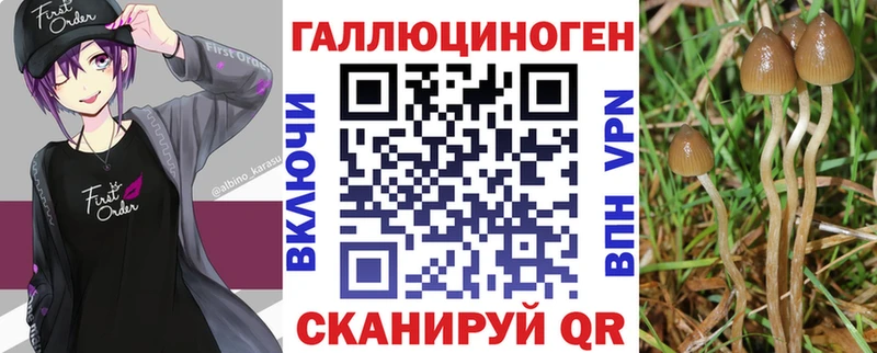 Псилоцибиновые грибы Psilocybe  Купить где  Олёкминск 